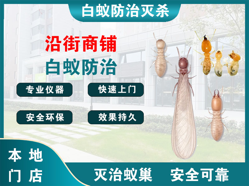 天台县沿街商铺白蚁防治