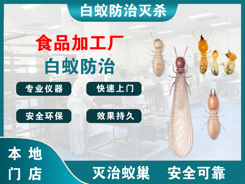 天台县食品加工厂白蚁防治