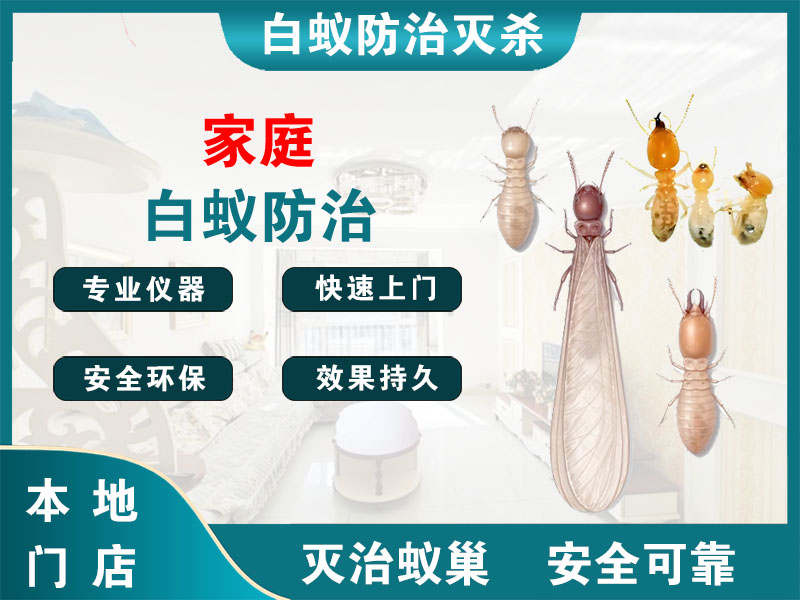 天台县家庭白蚁防治