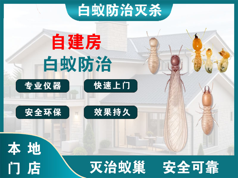 天台县自建房白蚁防治