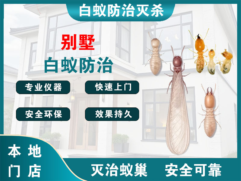 天台县别墅白蚁防治