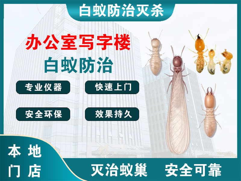 天台县办公室写字楼白蚁防治